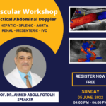 1 Vascular Doppler Workshop Practical Abdominal & Pelvic Doppler