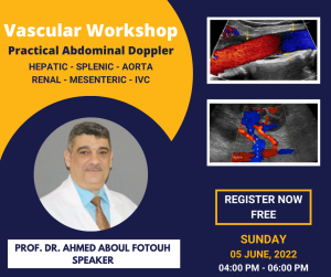 1 Vascular Doppler Workshop Practical Abdominal & Pelvic Doppler